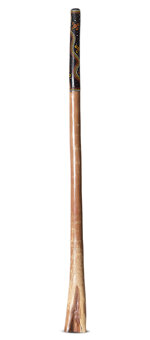 Jesse Lethbridge Didgeridoo (JL300)